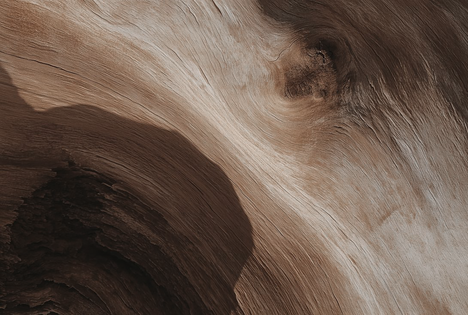 Every surface tells a story